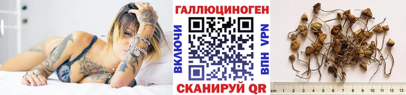 купить наркотик  Подольск  Галлюциногенные грибы Magic Shrooms 